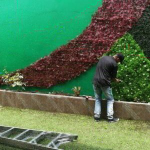 bmr solutions ecofriendly